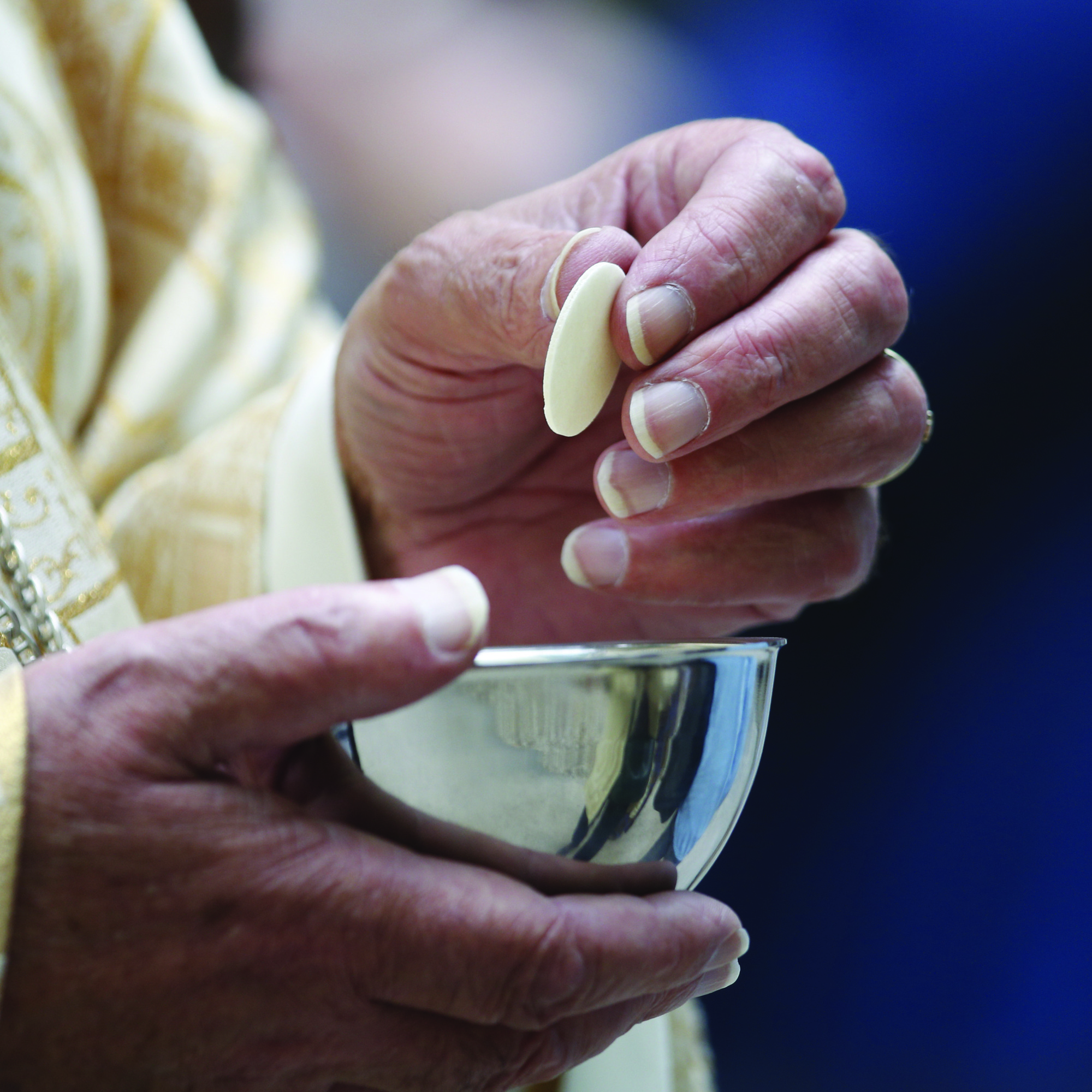 St. Robert Bellarmine Church Second Year Burbank, CA